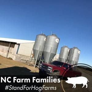 Meet your Posher, Jackson